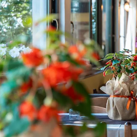 Farm stay Sa Tanca Noa Tergu