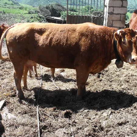 Sa Tanca Noa Tergu