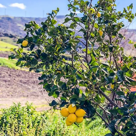 Farm stay Sa Tanca Noa