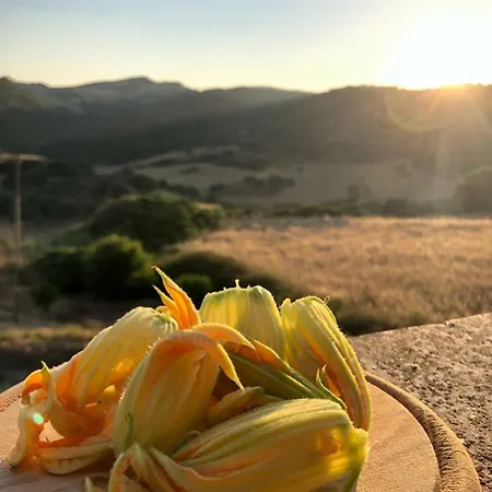 Sa Tanca Noa Farm stay