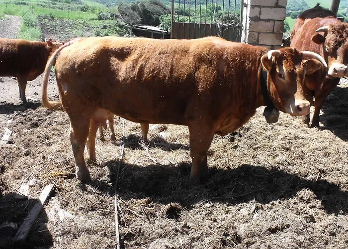 Sa Tanca Noa Tergu