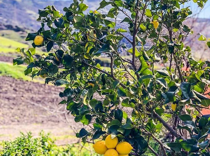 Vakantieboerderij Sa Tanca Noa