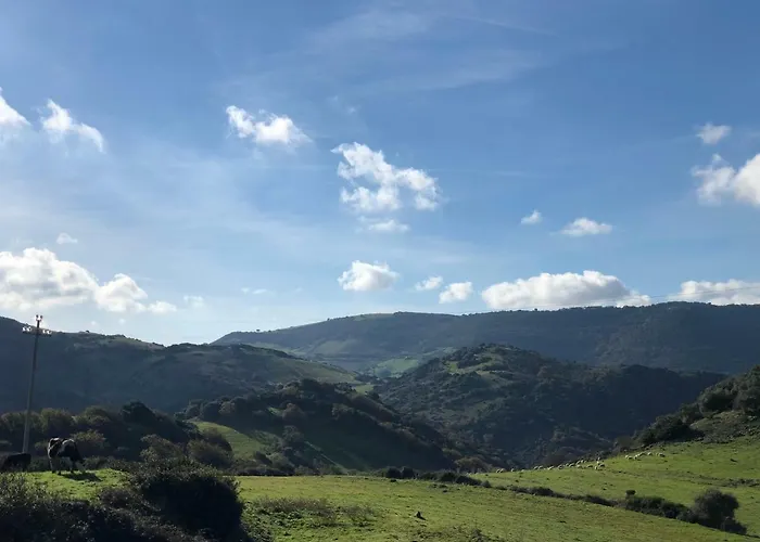 Sa Tanca Noa